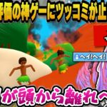 高評価すぎる謎ゲームにツッコミが止まらないヴィヴィ【綺々羅々ヴィヴィ/ホロライブ切り抜き】