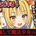 「いい歳して魔法少女って笑」のアンケートの意見で翌日にピキる天羅洲テラス【ゆうぎり高校/切り抜き】