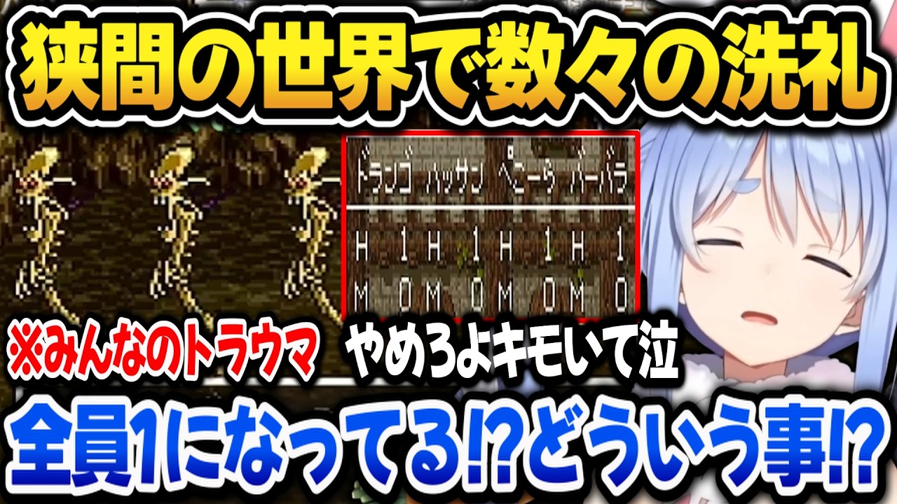 【ドラクエ6】狭間の世界で数々の洗礼を受けるぺこらw【ホロライブ切り抜き/兎田ぺこら】