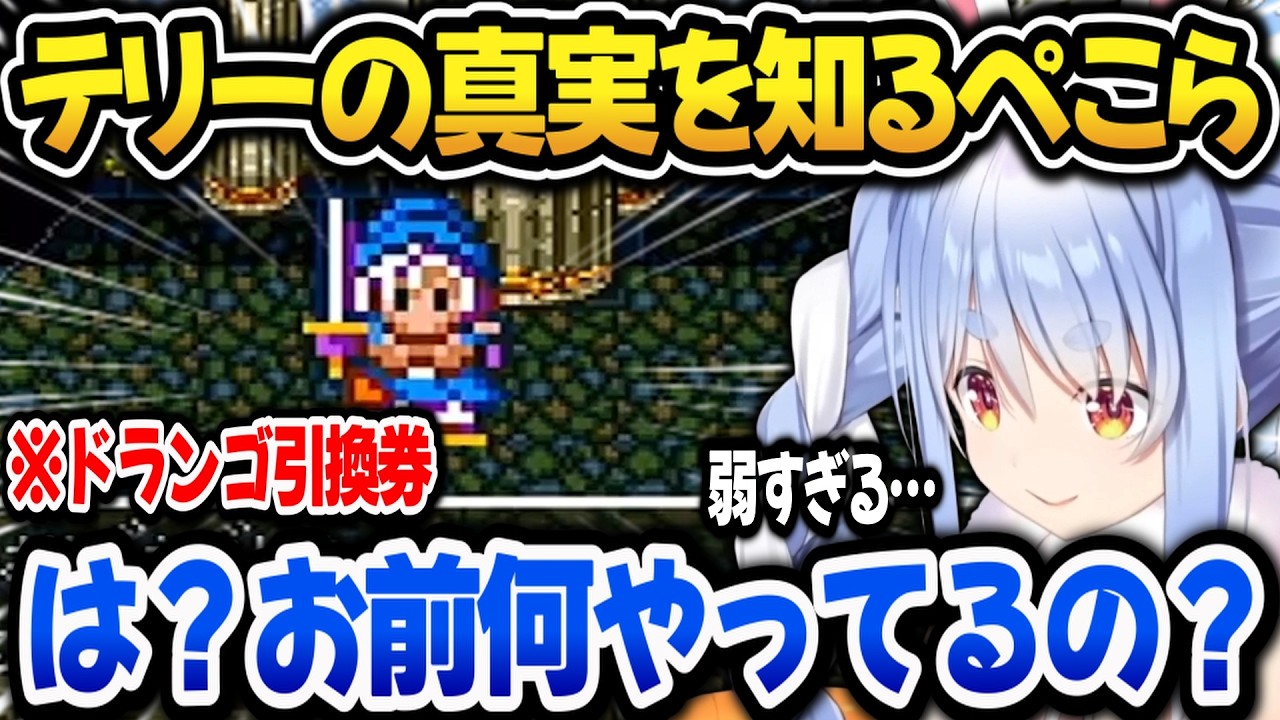 テリーの真実を知ってテリーに辛辣になるぺこらｗ【ホロライブ切り抜き/兎田ぺこら】