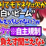 久しぶりのマリフレオフコラボでも船長が流されてしまう話【宝鐘マリン/不知火フレア/ホロライブ切り抜き】