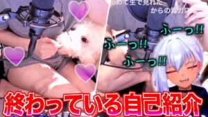 初見リスナーに清楚かつ終わっている挨拶をする夜刀レヴィ【Yatono Levi 切り抜き】2026/06/27 Twitch