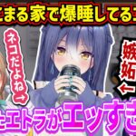 酔ってリビングで爆睡エトラ！エトラのちょっとエッなエピソードを話すたまこま【栗駒こまる/音霊魂子/あおぎり高校/切り抜き】