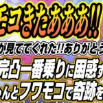 実質無料を唱えながら水着ガチャで奇跡を起こす鷹嶺ルイ【鷹嶺ルイ/ホロライブ切り抜き】