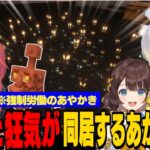 【あらなみマイクラ】あかぴゃの「芸術的な地下」に感動する栞葉としがりこ/あかぴゃの感性を「シリアルキラー」に例える栞葉るり【獅子堂あかり/栞葉るり/司賀りこ/千凛あゆむ/にじさんじ切り抜き】