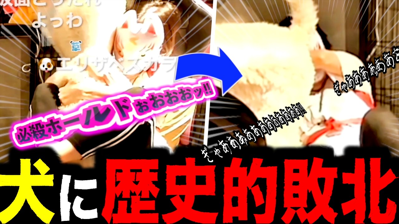 【神枠】犬とのバトルで格の違いを見せつけられ、完全敗北する夜刀レヴィ【Yatono Levi 切り抜き】2026/07/05 Twitch